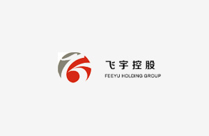 飞宇投资